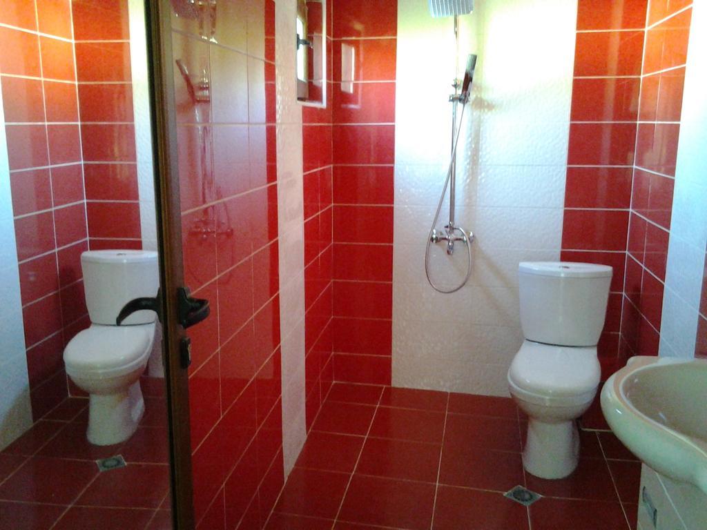 Sharkov Guest House Dolen  Room photo